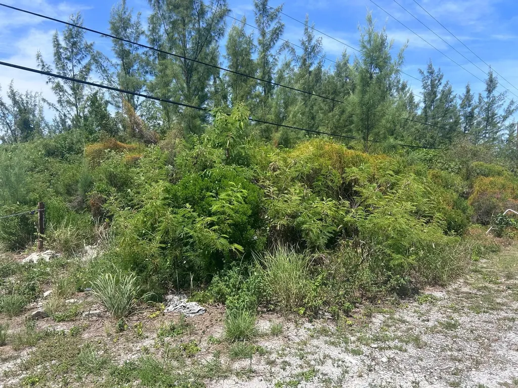 1/2 Acre Multi Family Lot New Providence Paradise Island BS