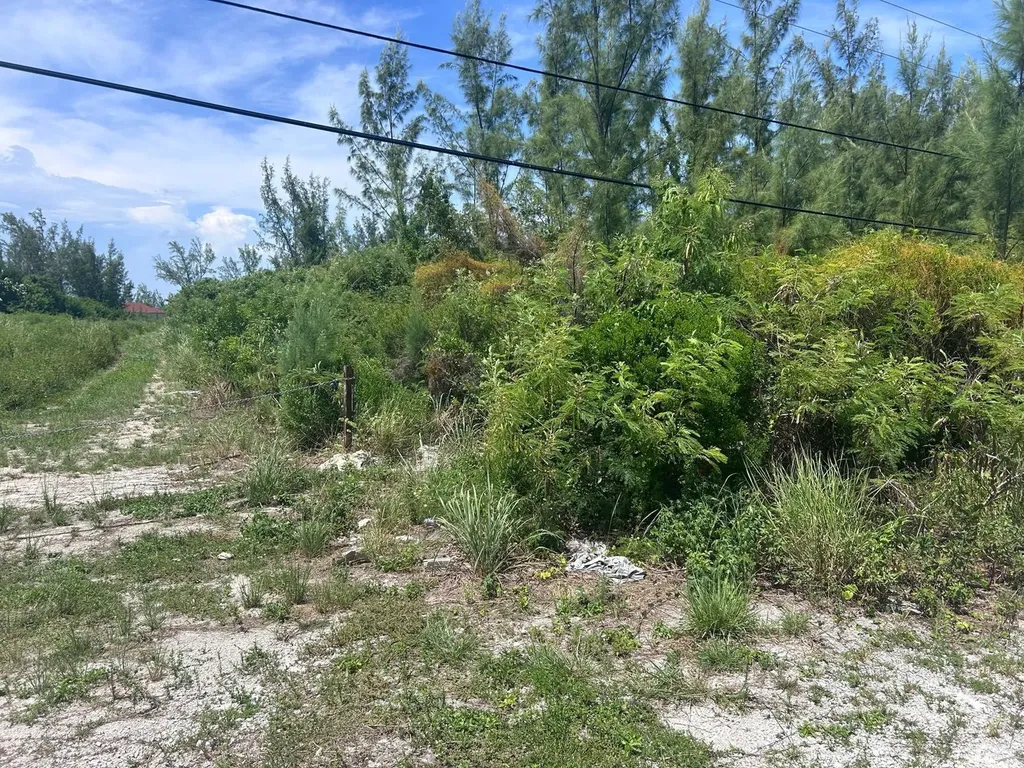1/2 Acre Multi Family Lot New Providence Paradise Island BS