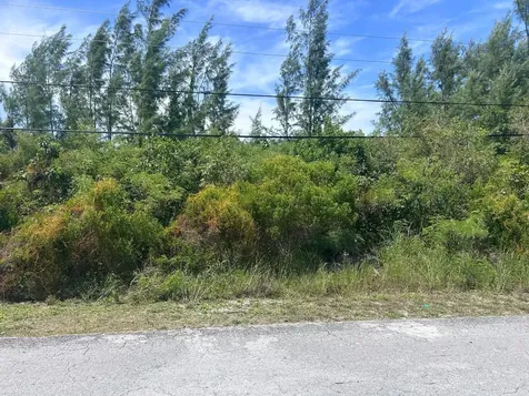1/2 Acre Multi Family Lot New Providence Paradise Island BS