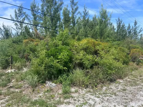 1/2 Acre Multi Family Lot New Providence Paradise Island BS