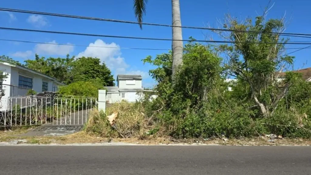 Fowler Street New Providence Paradise Island BS