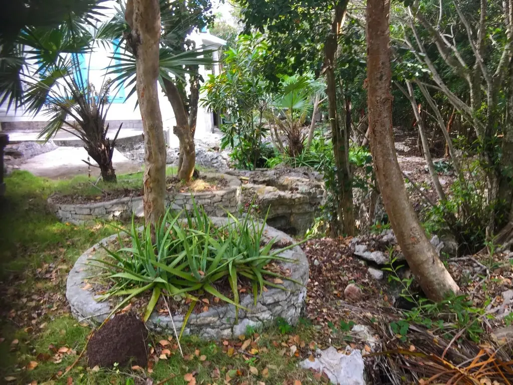 Eleuthera Island Shores Eleuthera BS