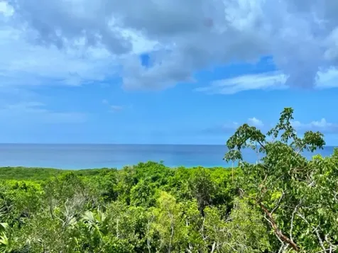 Eleuthera Island Shores Eleuthera BS