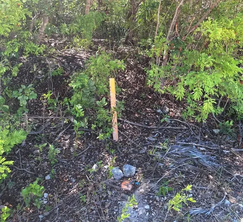 Flamingo Bay Estates Scho Exuma BS