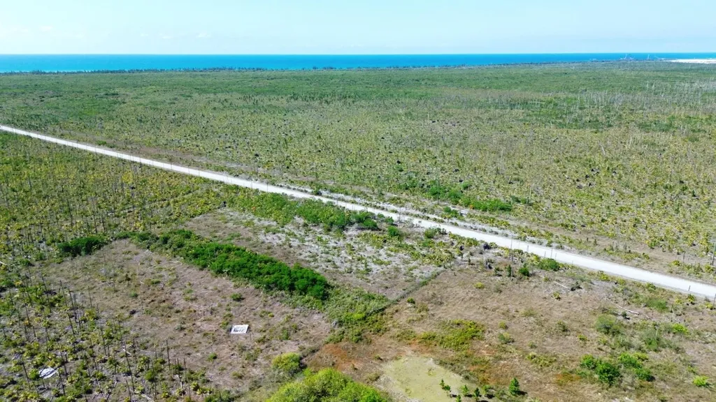 Tract 98, Grand Bahama Hi Grand Bahama Freeport BS