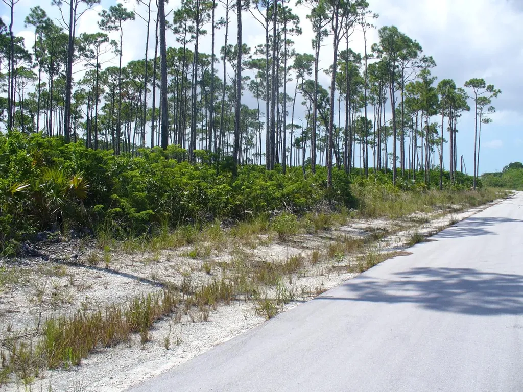 East Sunrise Highway Lot 2 Grand Bahama Freeport BS
