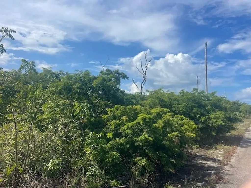 Barbary Beach Grand Bahama Freeport BS