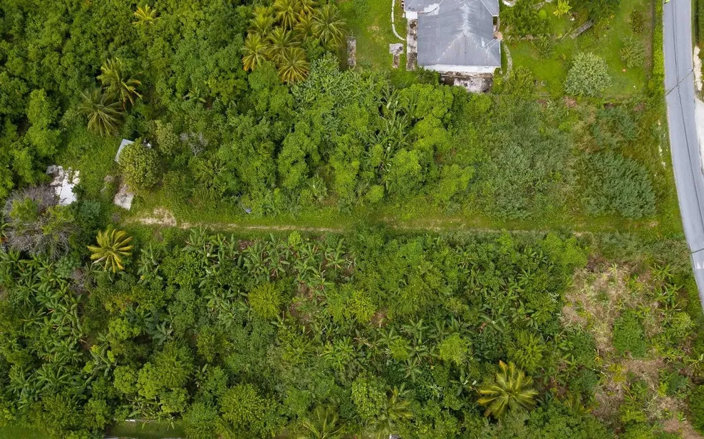 Lot S, Palm Breeze Drive New Providence Paradise Island BS