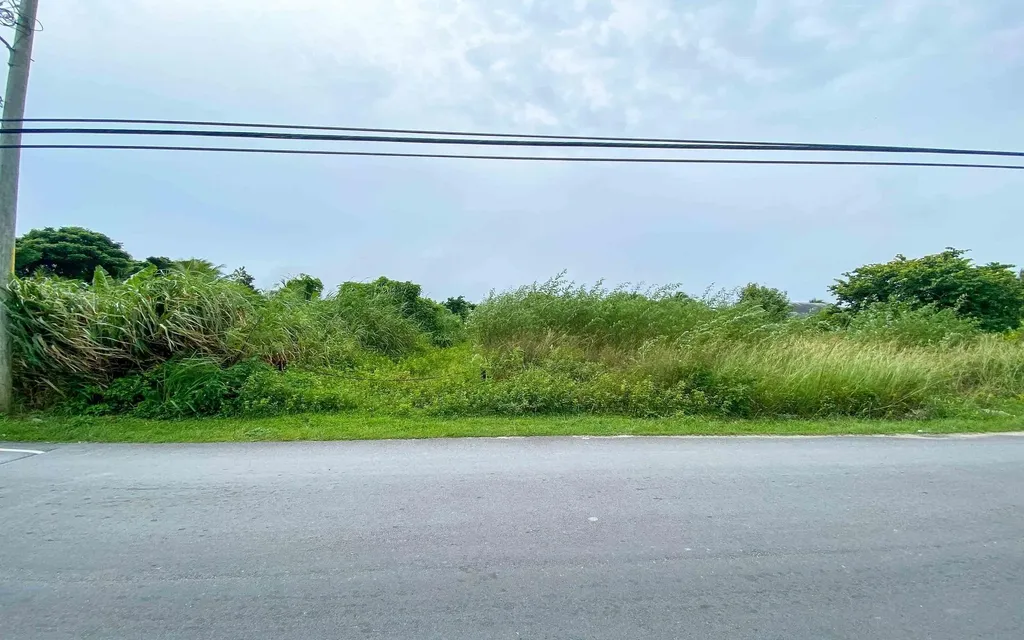 Lot S, Palm Breeze Drive New Providence Paradise Island BS