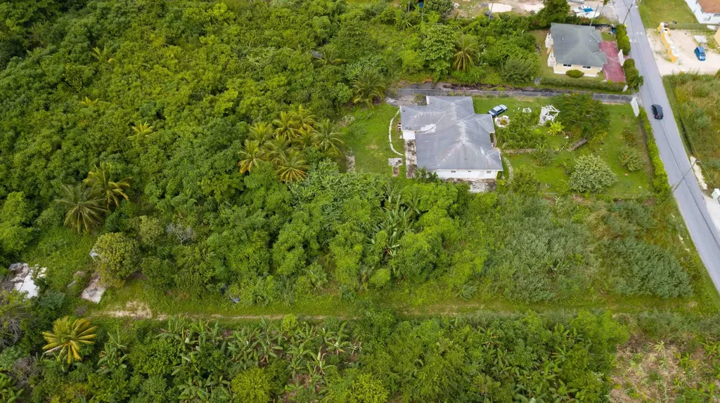 Lot S, Palm Breeze Drive New Providence Paradise Island BS