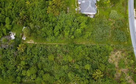 Lot S, Palm Breeze Drive New Providence Paradise Island BS