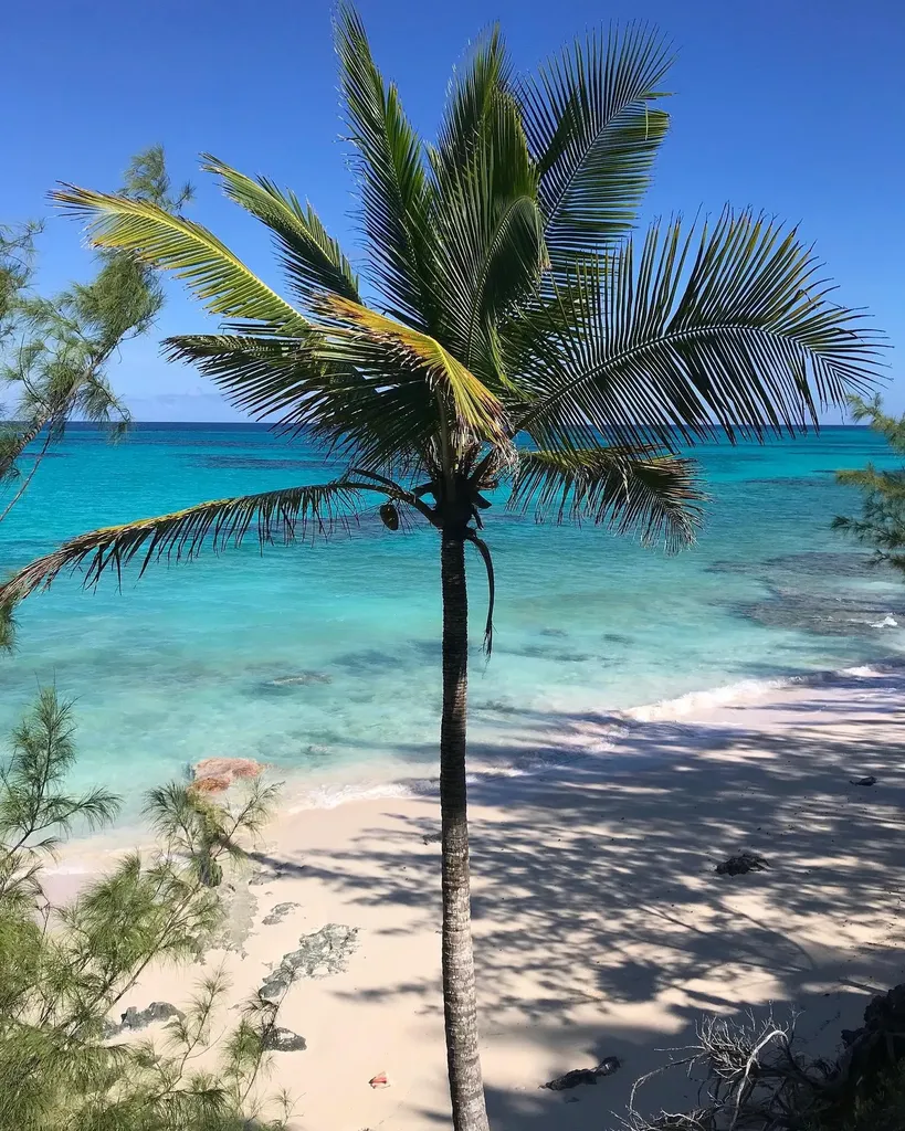 North Palmetto Point Eleuthera BS