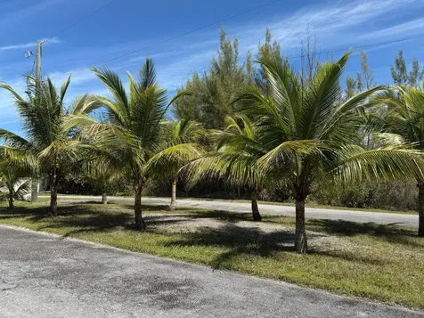 Debden Drive Grand Bahama Freeport BS