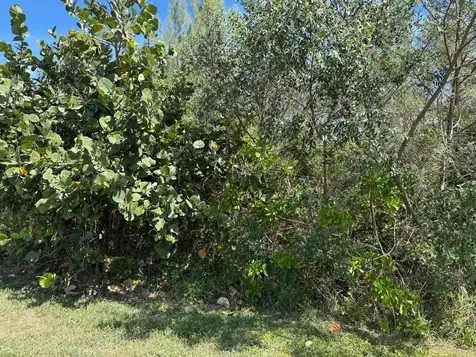 Debden Drive Grand Bahama Freeport BS