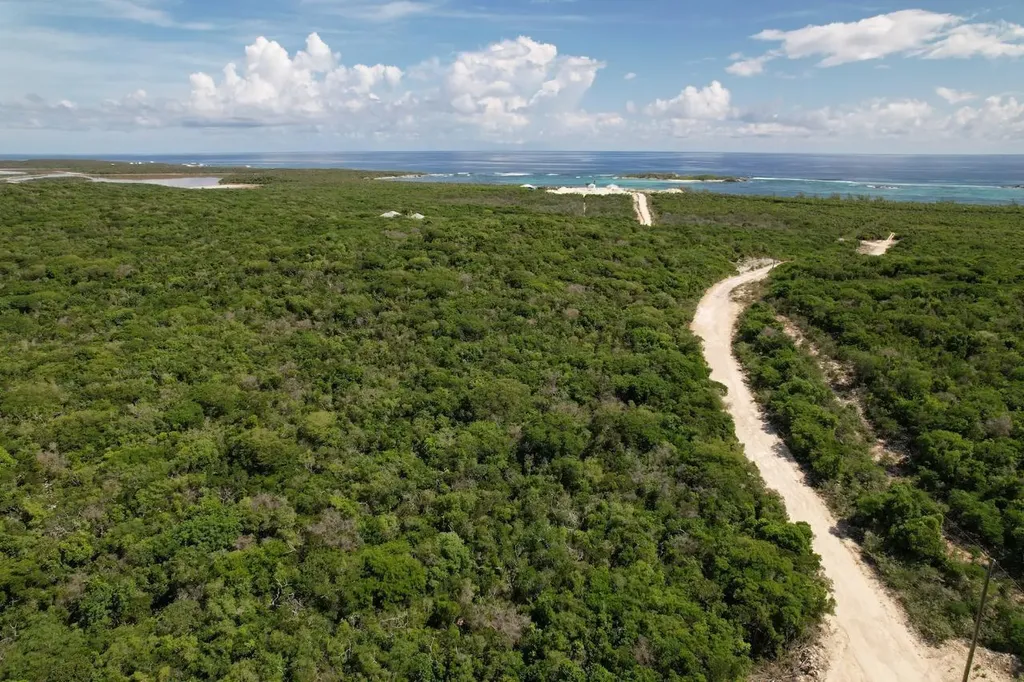 23 Acre Oceanview Parcel Long Island BS