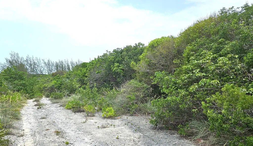 Whale Point Estates Eleuthera BS