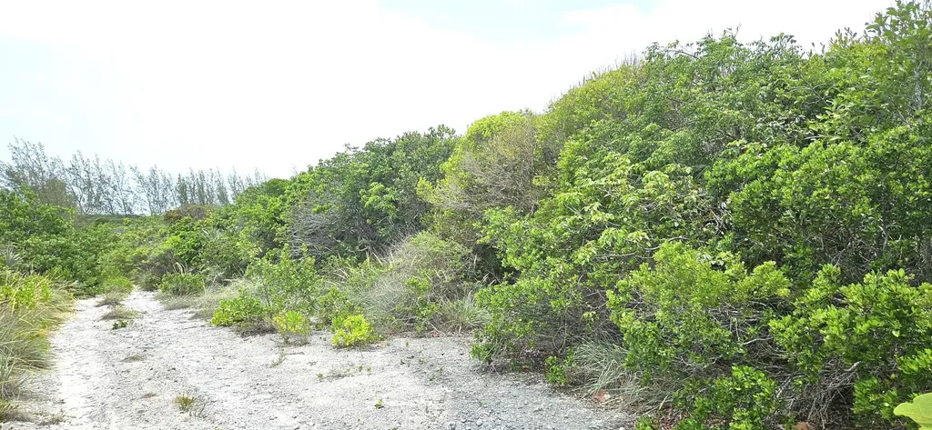 Whale Point Estates Eleuthera BS