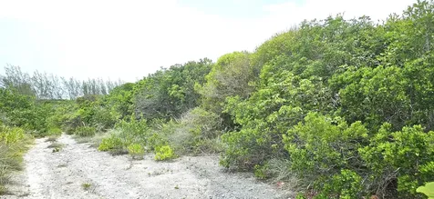 Whale Point Estates Eleuthera BS