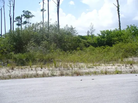 East Sunrise Highway Lot 4 Grand Bahama Freeport BS