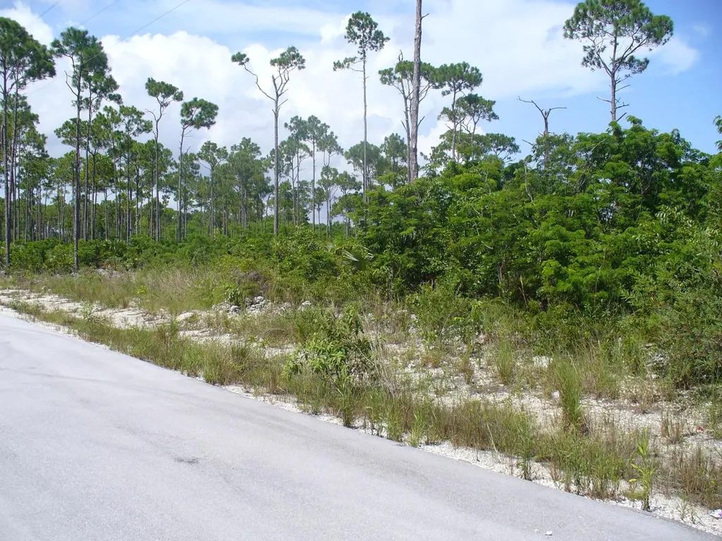 East Sunrise Highway Lot 7 Grand Bahama Freeport BS