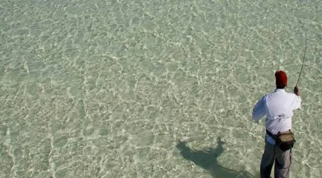 Pinefield Acklins BS