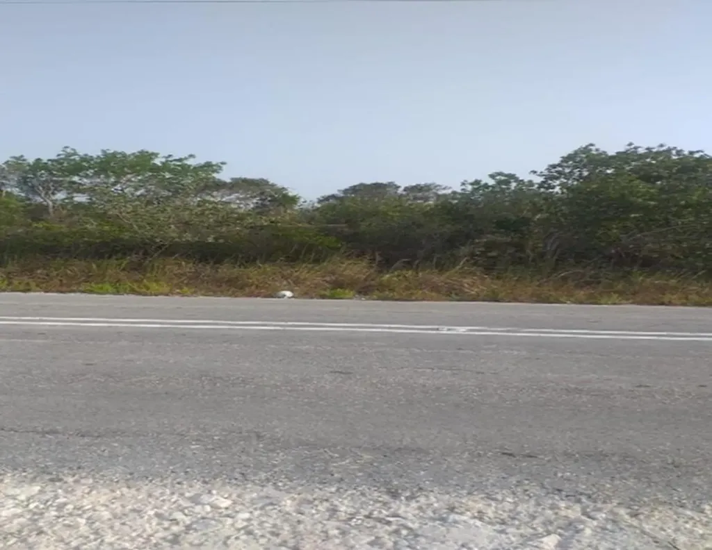 Pinefield Acklins BS