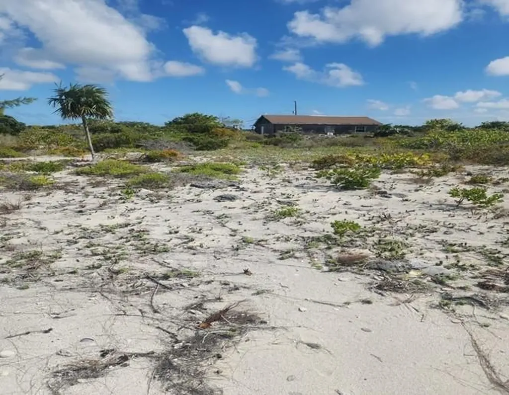 Pinefield Acklins BS