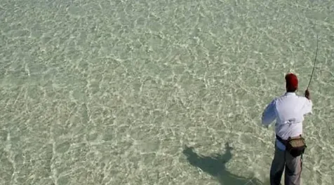 Pinefield Acklins BS