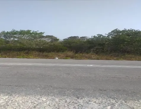 Pinefield Acklins BS