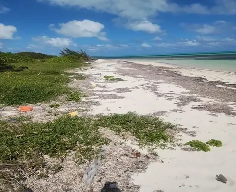 Pinefield Acklins BS