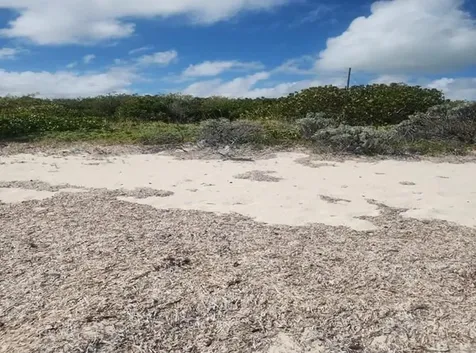 Pinefield Acklins BS