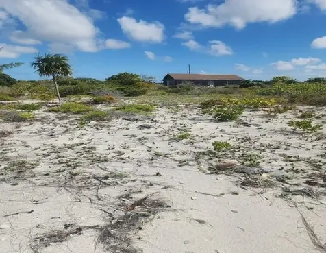 Pinefield Acklins BS