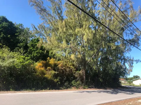 Mastic Point Andros BS