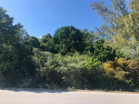 Mastic Point Andros BS