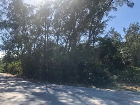 Mastic Point Andros BS