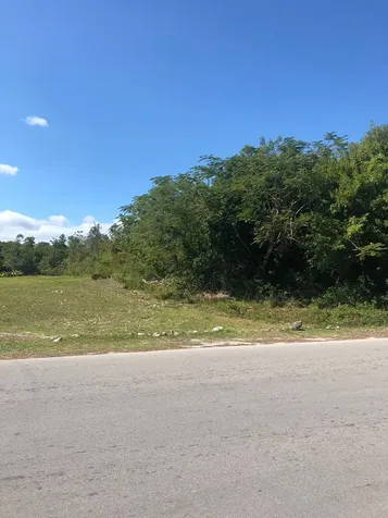 Mastic Point Andros BS