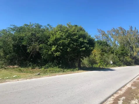 Mastic Point Andros BS