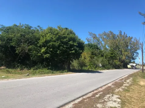 Mastic Point Andros BS