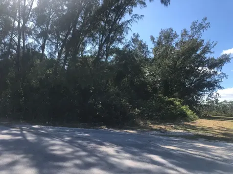 Mastic Point Andros BS