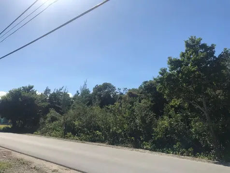 Mastic Point Andros BS