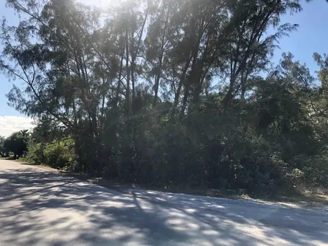 Mastic Point Andros BS