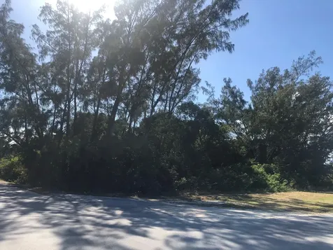 Mastic Point Andros BS