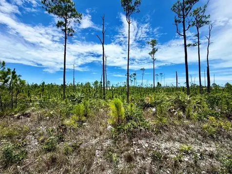 Shannon Lot Grand Bahama Freeport BS