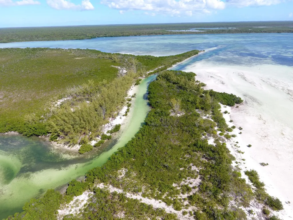 54 Rain Tree Lane Abaco BS