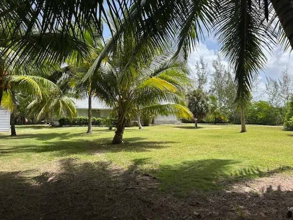 54 Rain Tree Lane Abaco BS