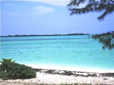 54 Rain Tree Lane Abaco BS