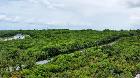 Lot 75, Baker's Creek Abaco BS