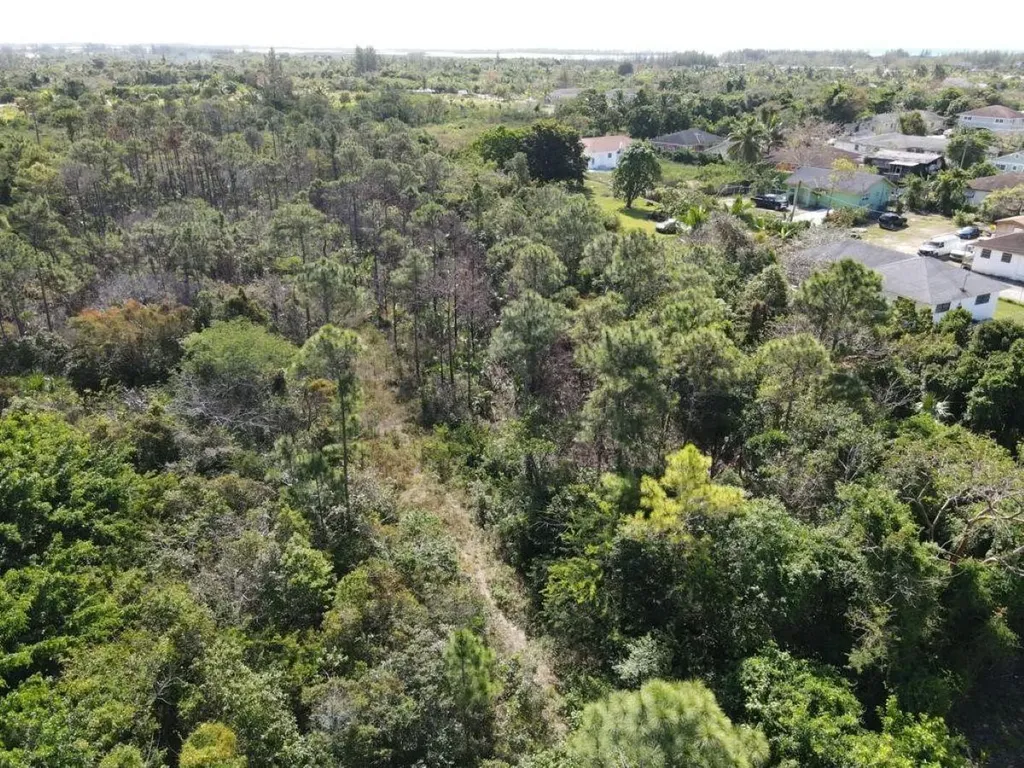 Bacardi Road New Providence Paradise Island BS