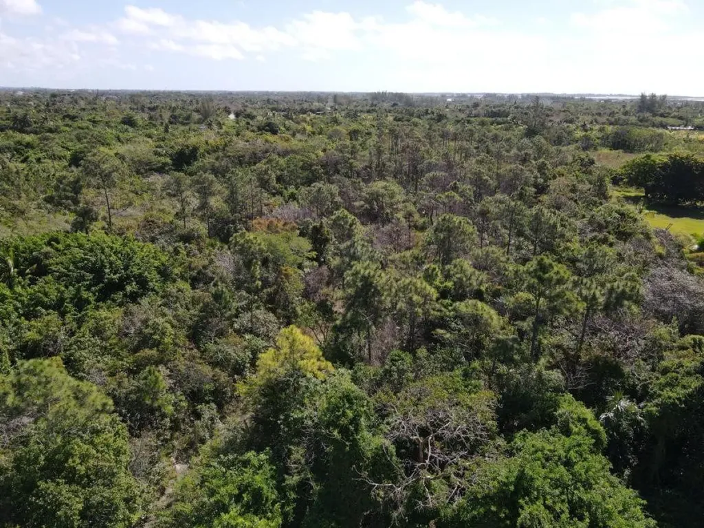 Bacardi Road New Providence Paradise Island BS