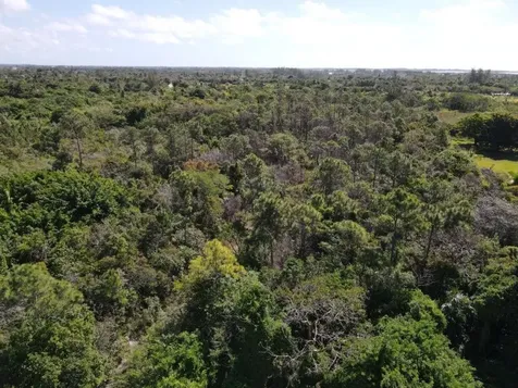 Bacardi Road New Providence Paradise Island BS